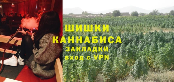 дживик Алзамай