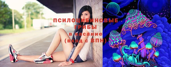 соль курить ск Алексеевка