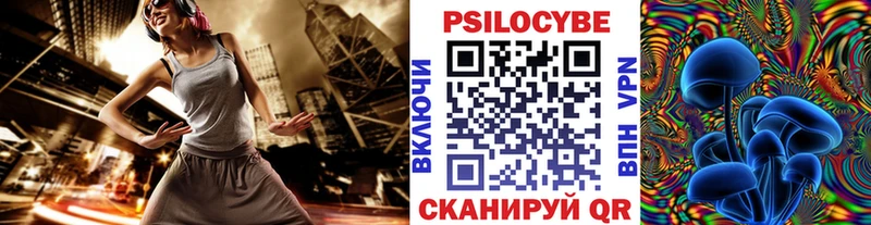 дарк нет телеграм Кудрово Псилоцибиновые грибы Psilocybine cubensis