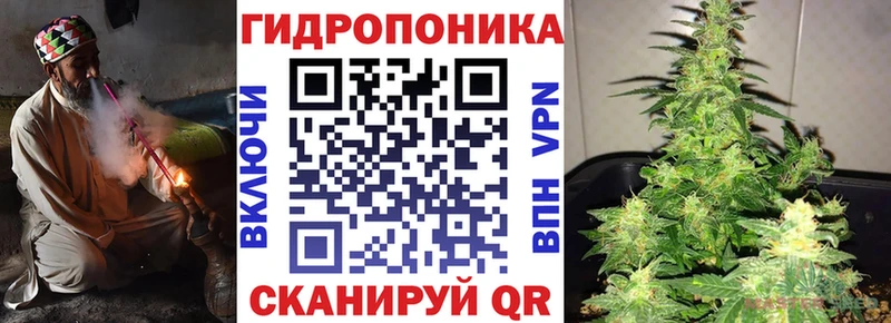 Канабис ГИДРОПОН  продажа наркотиков  Кудрово 